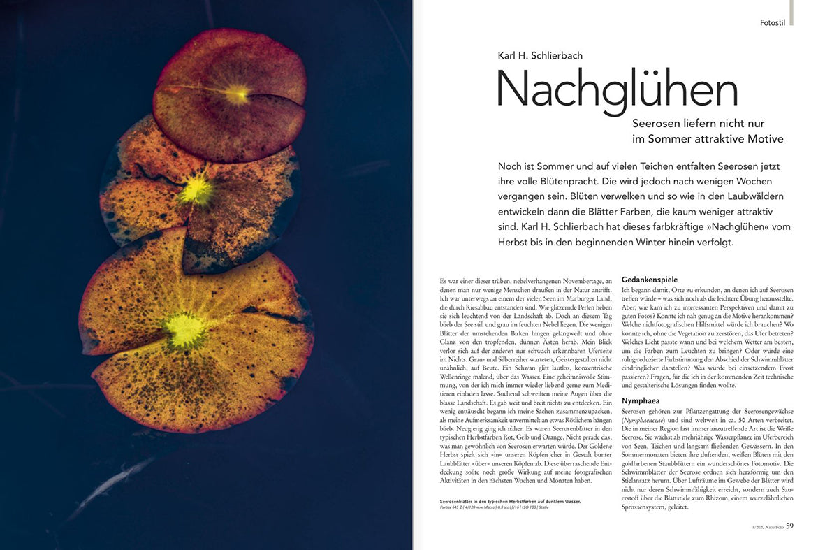 NaturFoto 8/2020 - Bild 3