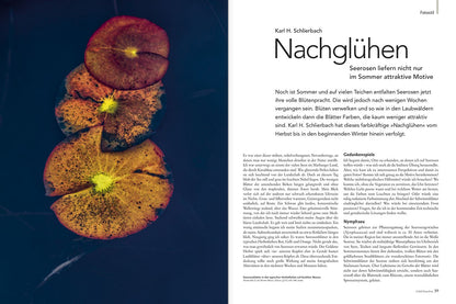 NaturFoto 8/2020 - Bild 3