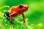 Natur Faszination - Bild 2