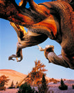 Natur Faszination - Bild 4
