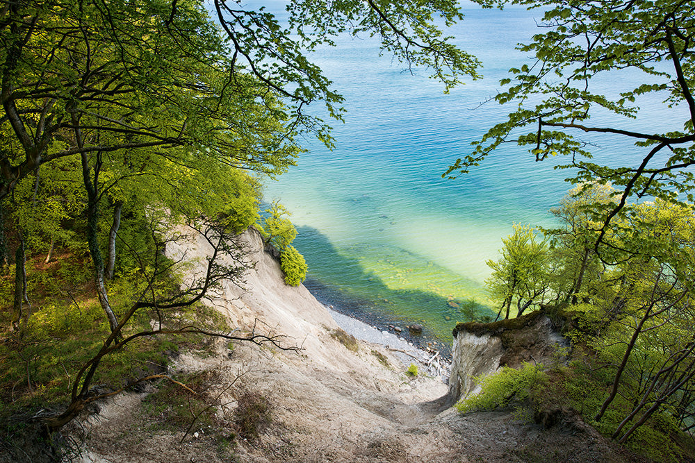 NEUE WILDNIS - Bild 2
