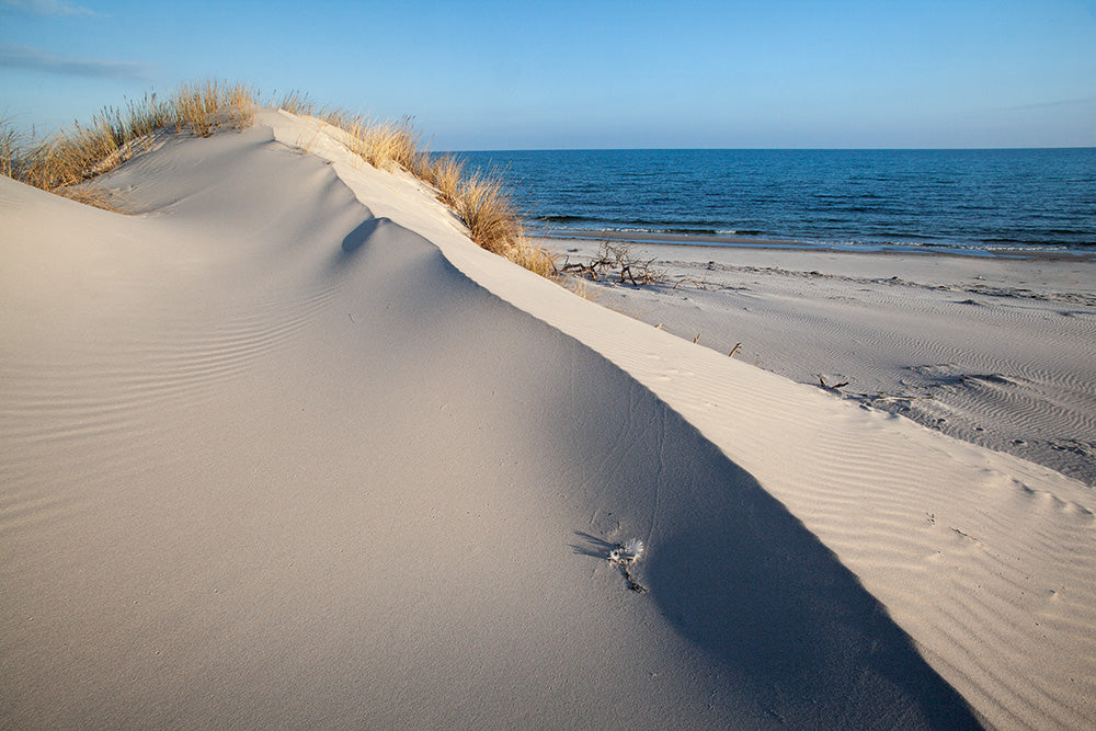 NEUE WILDNIS - Bild 7
