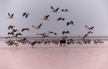NEUE WILDNIS - Bild 5