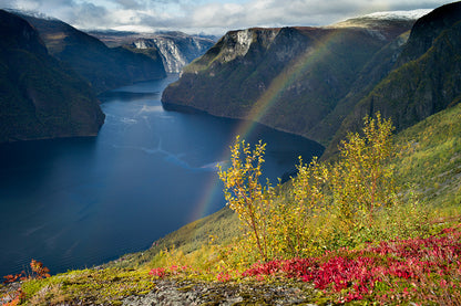 Norwegen – Auf der Postschiffroute - Bild 3