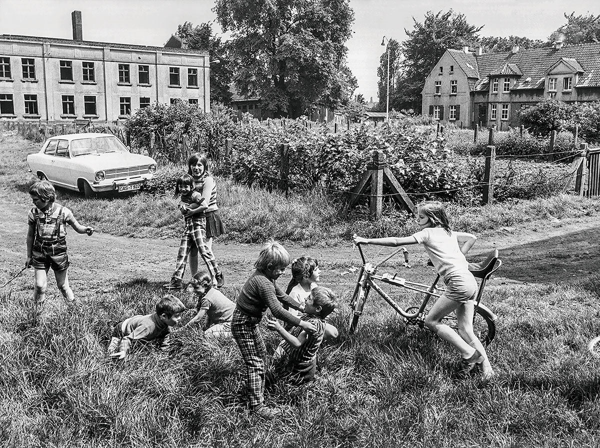 Täglich Bilder fürs Revier - Bild 4