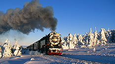 Nationalparks Harz - Bild 4