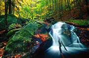 Nationalparks Harz - Bild 3