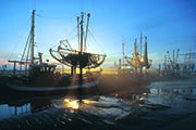 Nationalparks Nordsee - Bild 3