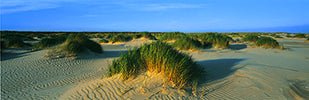 Nationalparks Nordsee - Bild 4