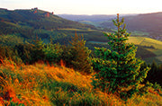 Rothaarsteig – Edition Quadra - Bild 2