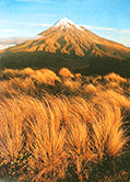 Neuseeland - Bild 3
