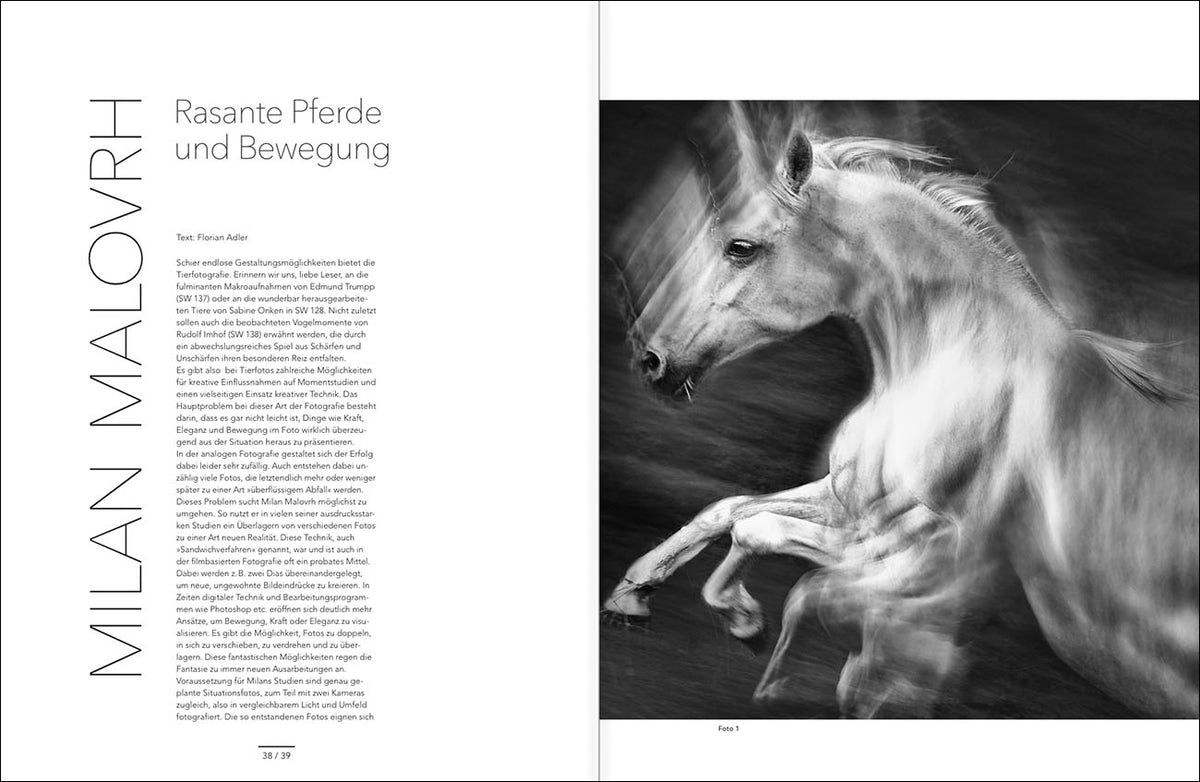 SCHWARZWEISS 144 - Bild 4