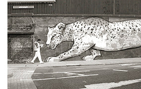 SCHWARZWEISS 115 - Bild 2
