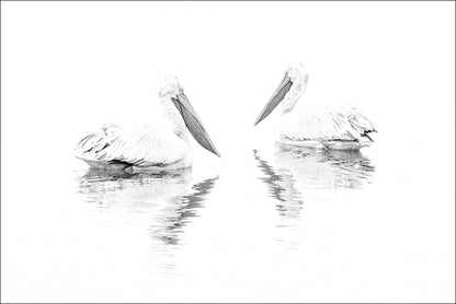SCHWARZWEISS 131 - Bild 3