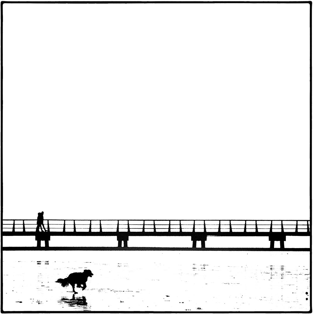 SCHWARZWEISS 132 - Bild 2