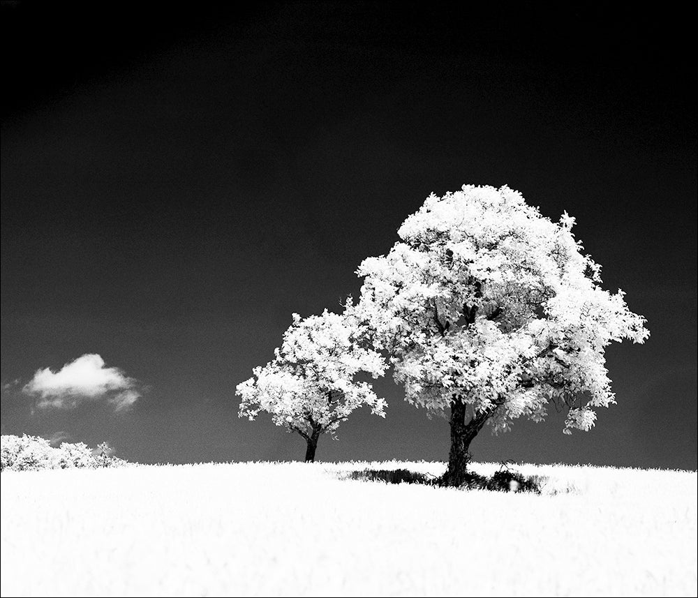 SCHWARZWEISS 132 - Bild 6