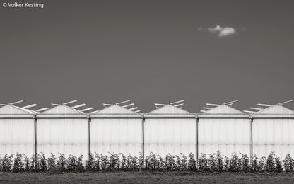 SCHWARZWEISS 136 - Bild 6