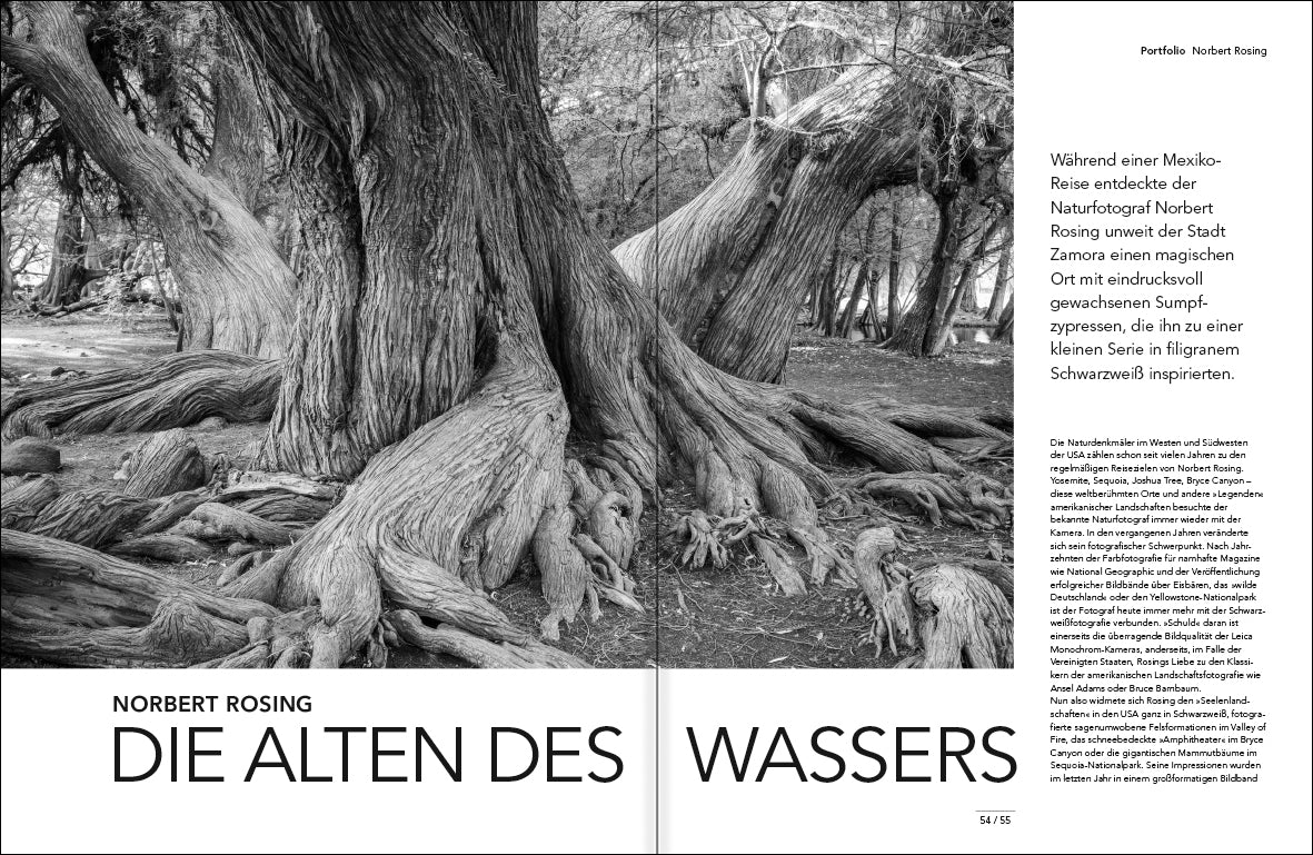SCHWARZWEISS 146 - Bild 3