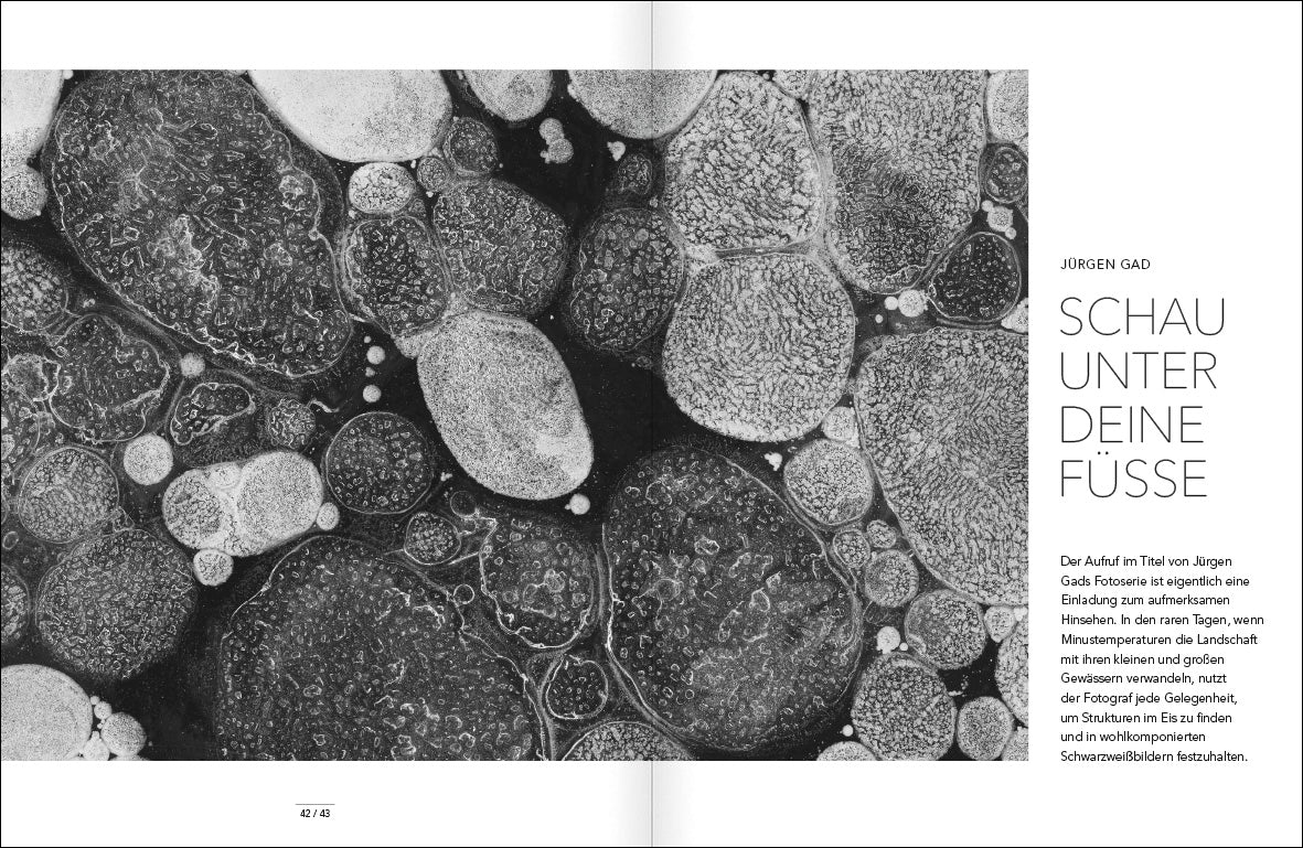 SCHWARZWEISS 158 - Bild 6