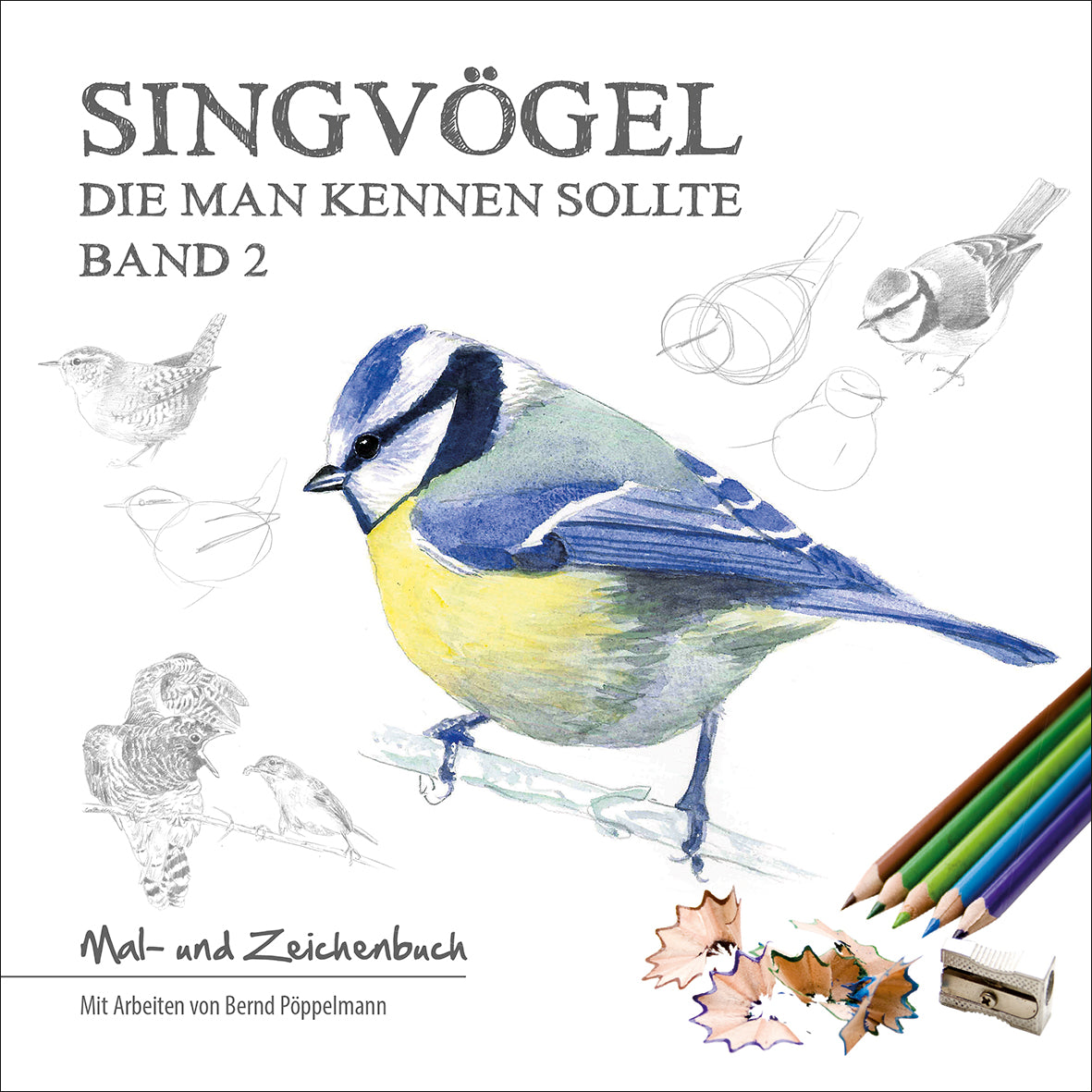 Singvögel die man kennen sollte, Band 2 - Bild 3
