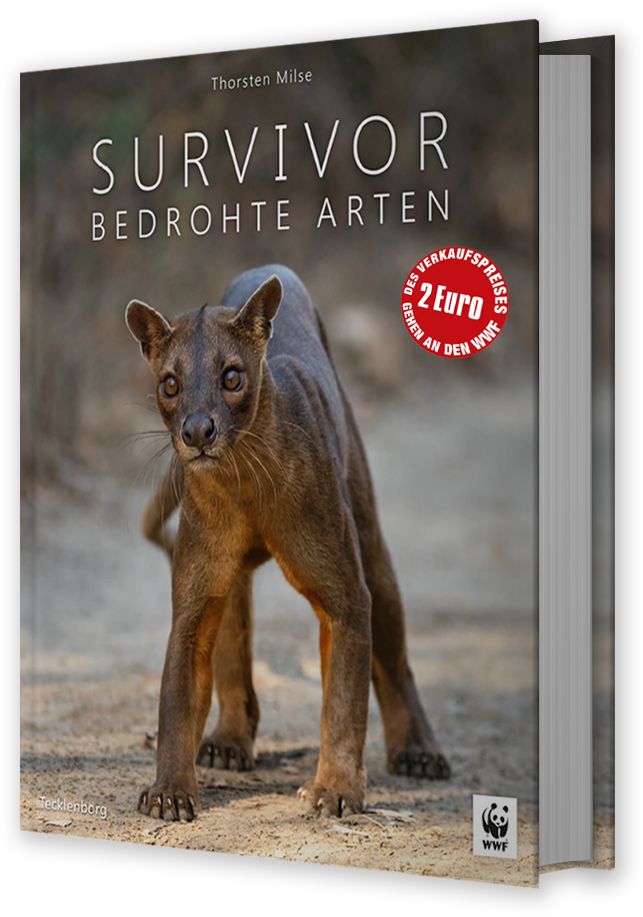 SURVIVOR - Bild 14