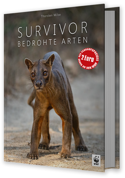 SURVIVOR - Bild 14