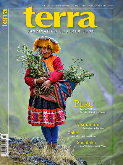 terra 3/2025