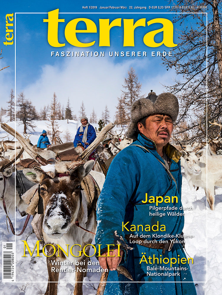 terra 1/2019
