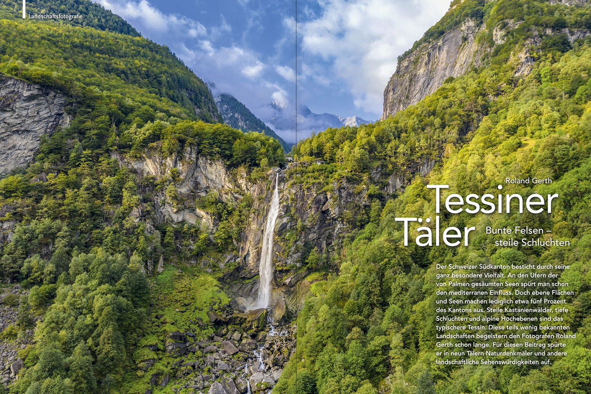 NaturFoto 8/2020 - Bild 6