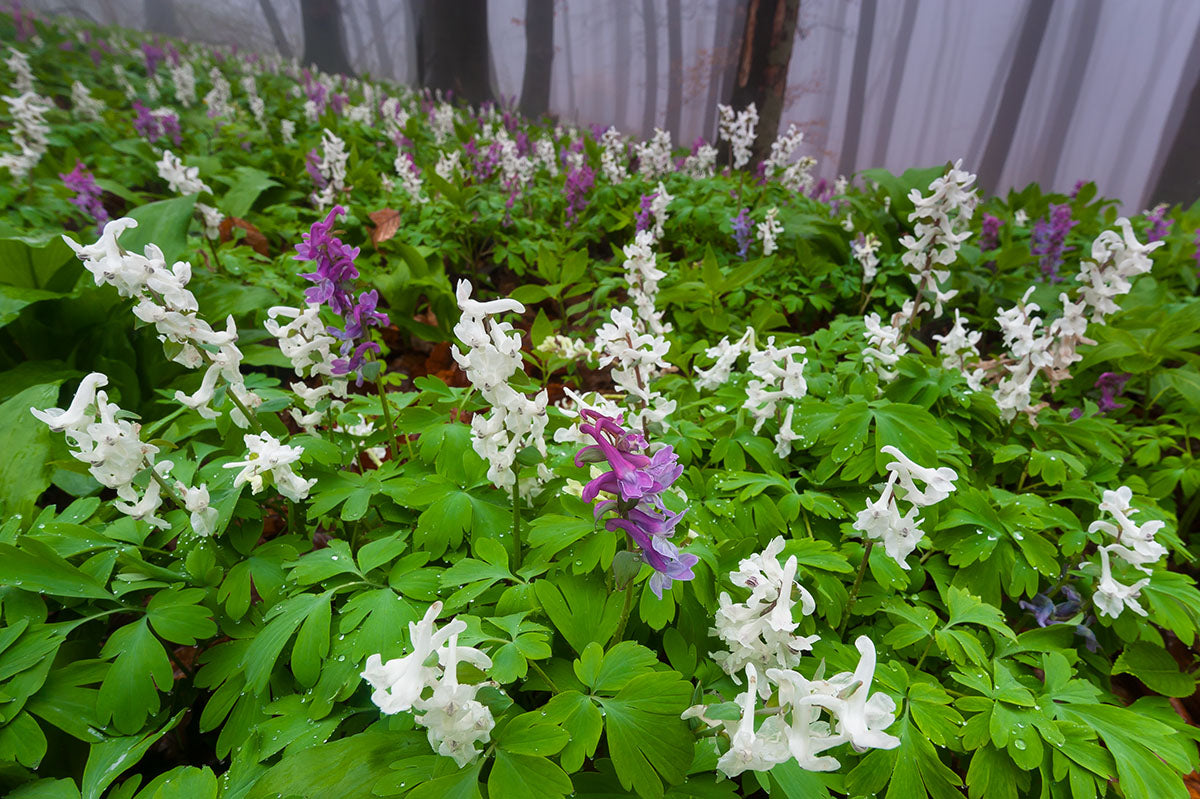 Teutoburger Wald - Bild 8
