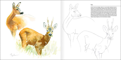 Tiere im Feld - Bild 2