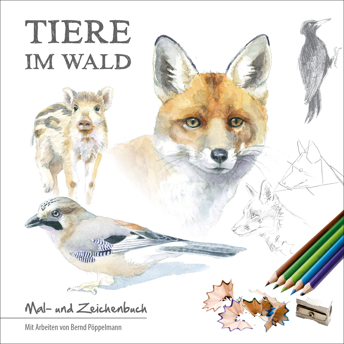 Tiere im Wald - Bild 2