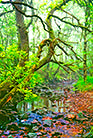 Deutschlands unberührte Naturparadiese - Bild 3