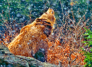 Deutschlands unberührte Naturparadiese - Bild 4
