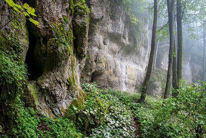 VERBORGEN - Bild 8