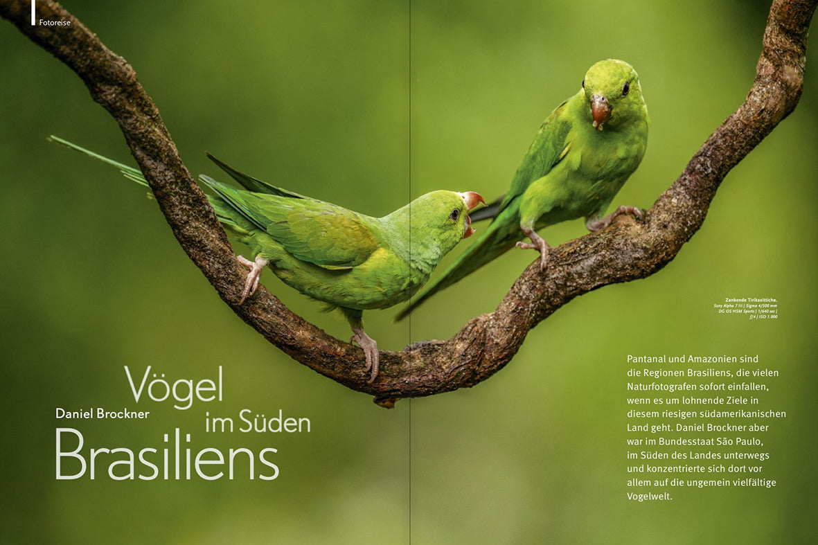 NaturFoto 8/2020 - Bild 4