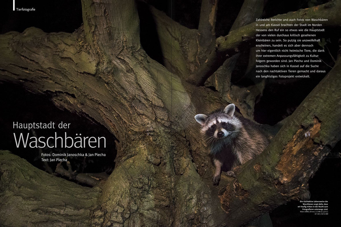 NaturFoto 8/2020 - Bild 2