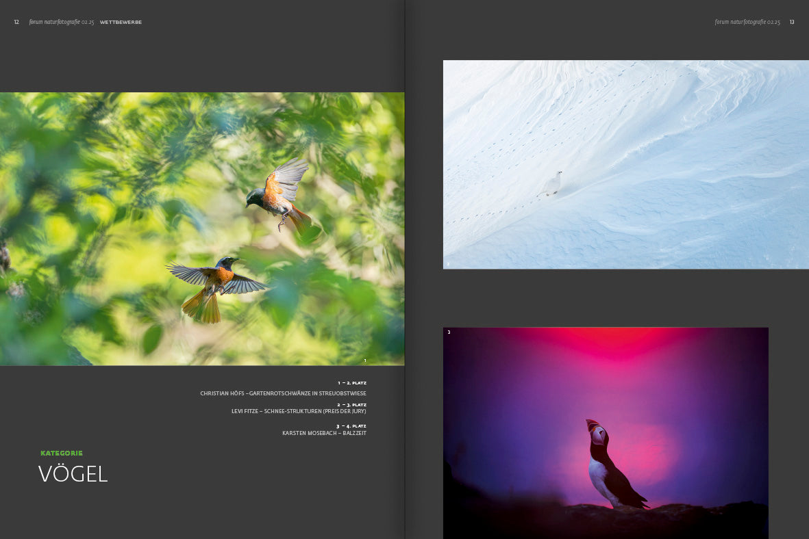 forum naturfotografie 2/2025 - Bild 2