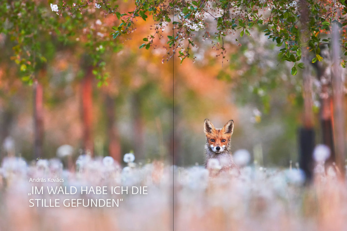 forum naturfotografie 2/2025 - Bild 5