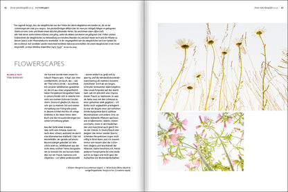 forum naturfotografie 2/2025 - Bild 4