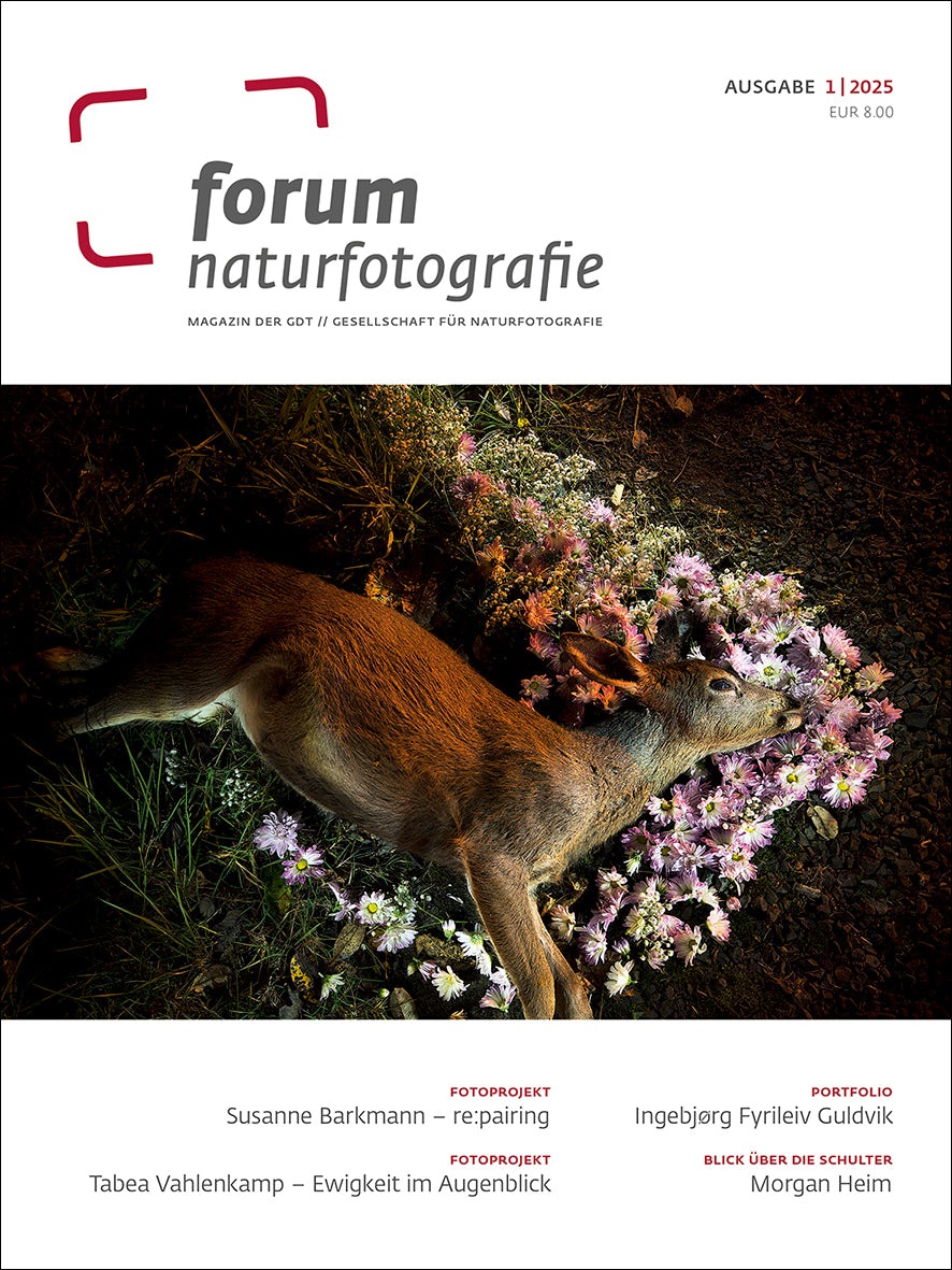 forum naturfotografie 1/2025