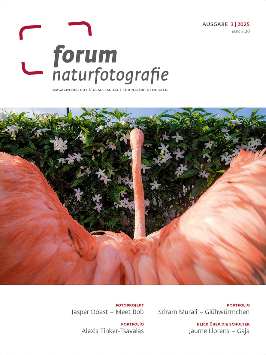 forum naturfotografie 3/2025