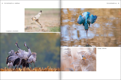 forum naturfotografie 4/2024 - Bild 3