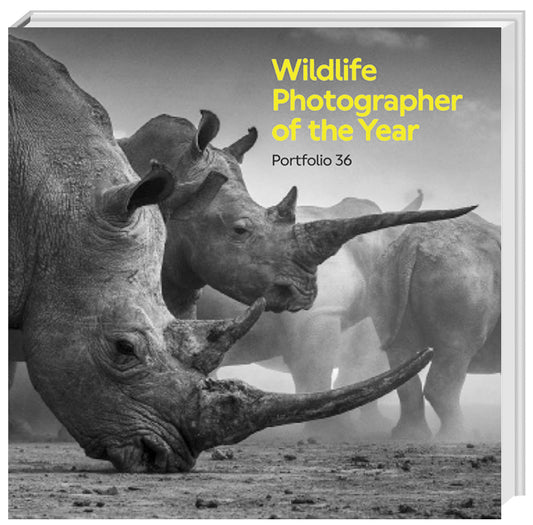 Portfolio 36