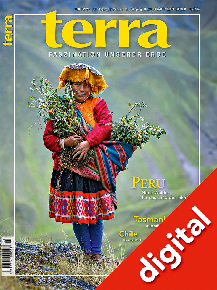 terra 3/2025 Digital