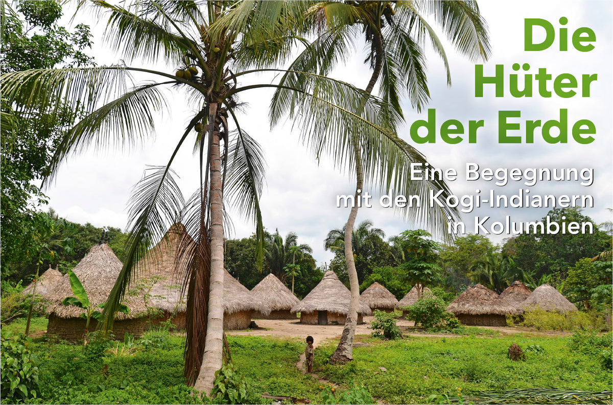 terra 3/2019 - Bild 5