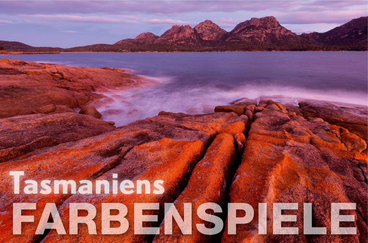 terra 3/2019 - Bild 6