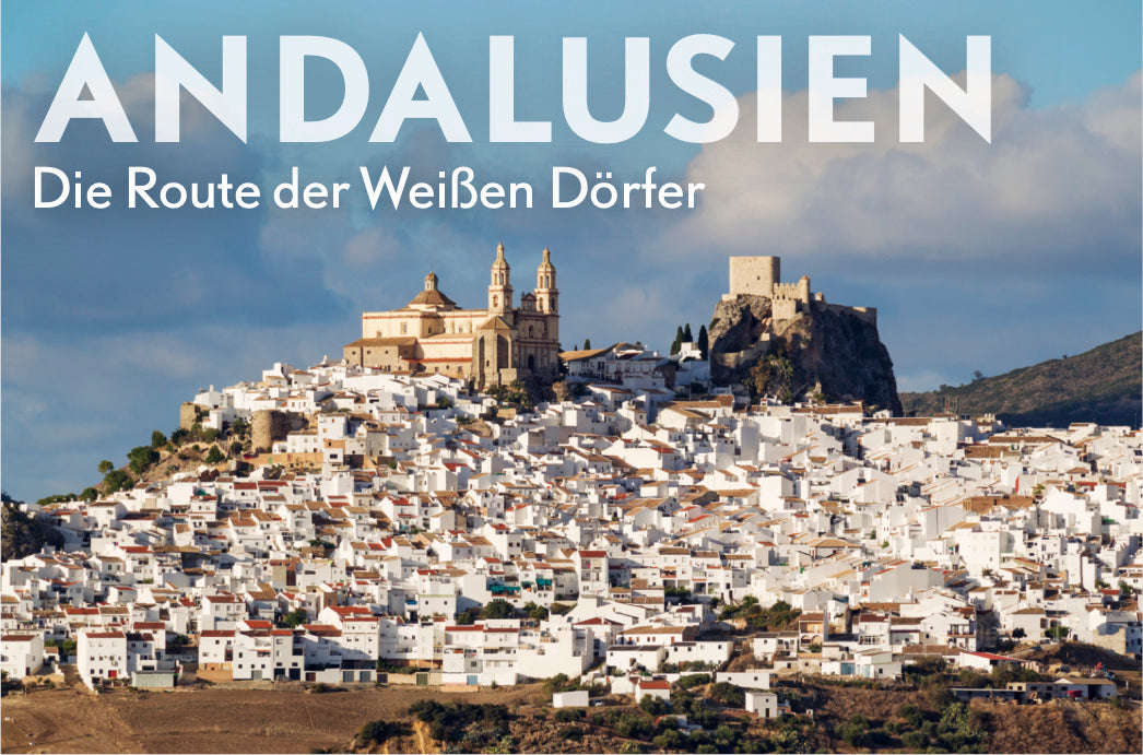 terra 4/2019 - Bild 8