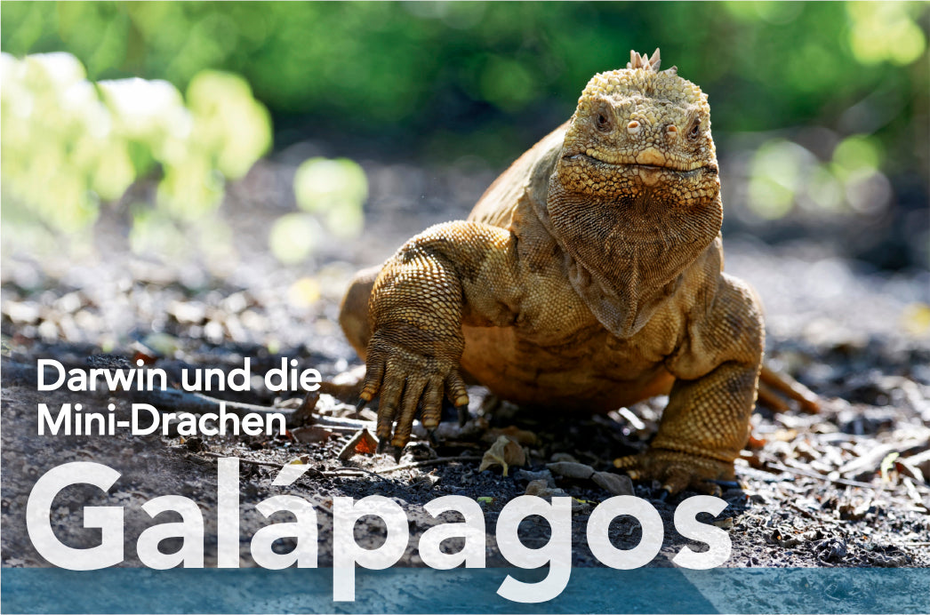 terra 4/2019 - Bild 6