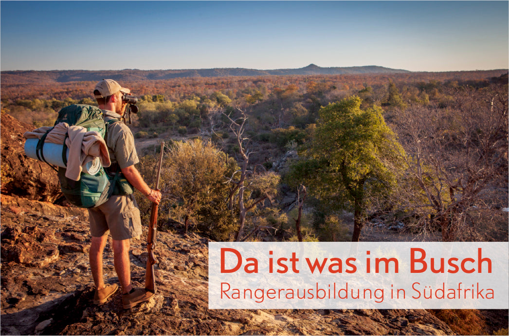 terra 4/2019 - Bild 2